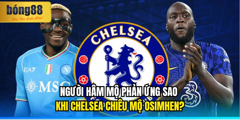 Chelsea Hoàn Tất Bản Hợp Đồng Với Victor Osimhen | BONG88 3 Người Hâm Mộ Phản Ứng Sao Khi Chelsea Chiêu Mộ Osimhen?