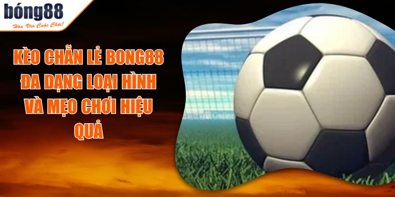 Kèo Chẵn Lẻ BONG88 Đa Dạng Loại Hình Và Mẹo Chơi Hiệu Quả 5 Kèo Chẵn Lẻ BONG88 Đa Dạng Loại Hình Và Mẹo Chơi Hiệu Quả