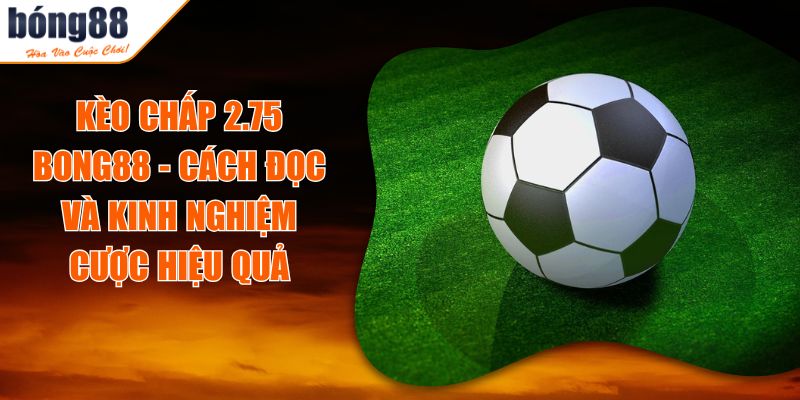 Kèo Chấp 2.75 BONG88 - Cách Đọc Và Kinh Nghiệm Cược Hiệu Quả 6 Kèo Chấp 2.75 BONG88 - Cách Đọc Và Kinh Nghiệm Cược Hiệu Quả